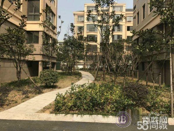 单价5500的花园洋房首付三成不限贷高铁站就在旁边